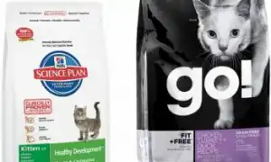 Лучшие сухие корма для кошек в 2024 году