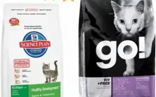 Лучшие сухие корма для кошек в 2024 году