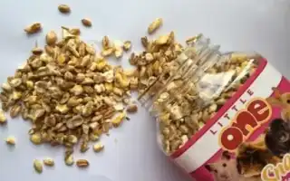 Особенности кормов для крыс Little One