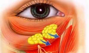 Почему возникает отечность под глазами: все причины возникновения у взрослых и детей и способы решения проблемы