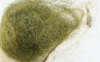 Как выглядит сизаль и как используется материал