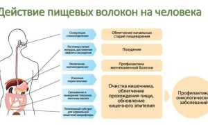 Особенности употребления клетчатки для похудения – диета на пищевых волокнах и ее преимущества