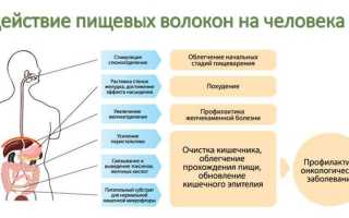 Особенности употребления клетчатки для похудения – диета на пищевых волокнах и ее преимущества