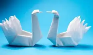 Создание лебедя из салфетки