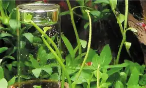 Оксидатор для Аквариума — компактный генератор-дозатор активного кислорода в воду. Оксидатор для аквариума.