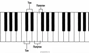 Уроки фортепиано для начинающих (Урок 1). Ноты на пианино.