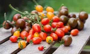 Как хранить помидоры в домашних условиях