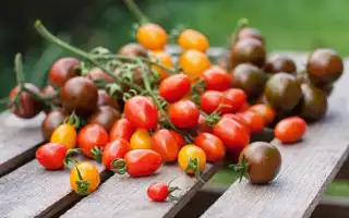 Как хранить помидоры в домашних условиях