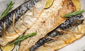 Все хитрости как вкусно приготовить скумбрию на сковороде без специфического запаха в домашних условиях