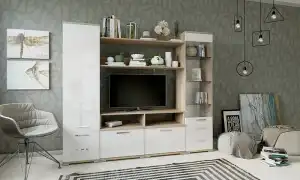 Стенка в гостиную (зал): дизайн, виды, материалы, цвета, варианты размещения и заполнения. Стенки в гостиную в современном стиле фото.