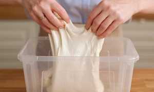 Сколько дней можно хранить готовое дрожжевое тесто в холодильнике для лучшего результата?