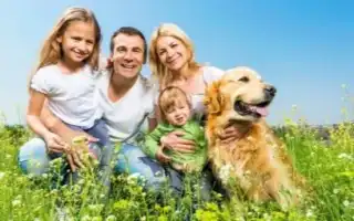 Самые послушные породы собак