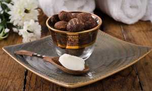 Полезные свойства масла карите (масла ши) и применение его в косметологии для здоровья кожи