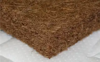 Состав и полезные свойства кокосовых матрасов