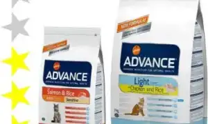 Обзор кормов для кошек и котов Advance
