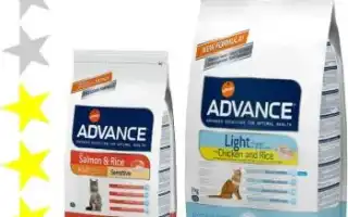 Обзор кормов для кошек и котов Advance