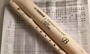 Аппликатура блокфлейты ноты для блокфлейты. Ноты для блокфлейты.