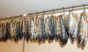 Сколько по времени нужно вымачивать соленую рыбу для приготовления?