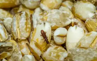 Банки для хранения: как выбрать