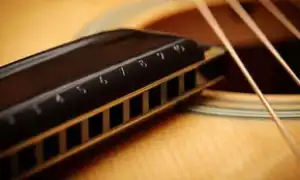 Как научиться играть на губной гармошке. Как играть на губной гармошке.