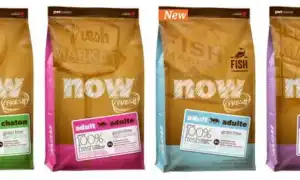 Корм для кошек Now Fresh: отзывы и разбор состава