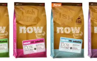 Корм для кошек Now Fresh: отзывы и разбор состава