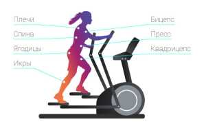 Как заниматься на эллиптическом тренажере чтобы похудеть: методика + отзывы и результаты для достижения успеха