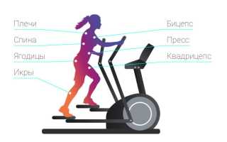 Как заниматься на эллиптическом тренажере чтобы похудеть: методика + отзывы и результаты для достижения успеха