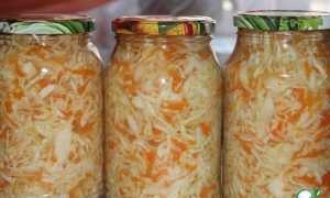 Рецепты приготовления маринованной морской капусты — подойдут как на зиму, так и для похудения, с полезными советами