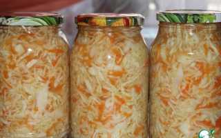 Рецепты приготовления маринованной морской капусты — подойдут как на зиму, так и для похудения, с полезными советами