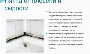 Как вывести плесень с ткани – 10 основных методов избавиться в домашних условиях. Как отстирать плесень с ткани.