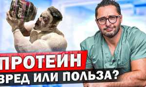 Мифы и мнение врачей исследователей чем вреден протеин для здоровья и как его употреблять правильно