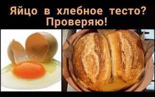 Нужно ли добавлять яйца в хлеб? Узнайте мнение экспертов