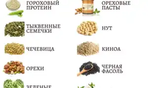 В чем разница животного и растительного белка + список продуктов с высоким содержанием протеинов для здоровья
