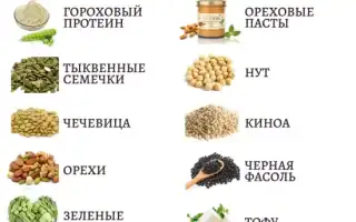В чем разница животного и растительного белка + список продуктов с высоким содержанием протеинов для здоровья
