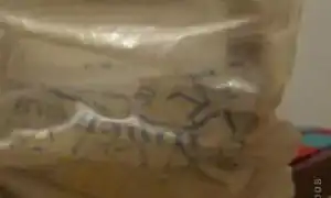 Мочалка крючком для начинающих из шпагата: схемы с фото. Как связать мочалку.