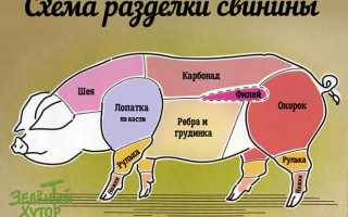 Какую часть свинины лучше брать для тушения в домашних условиях?