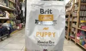 Все о кормах Brit. Корм brit для собак.