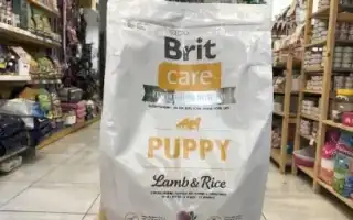 Все о кормах Brit. Корм brit для собак.