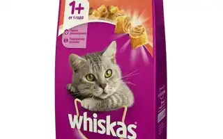 Корм для кошек Whiskas: отзывы и разбор состава