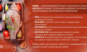 Вы спрашивали: Почему вредно есть жареную рыбу? Узнайте мнение экспертов