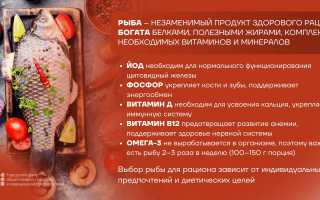 Вы спрашивали: Почему вредно есть жареную рыбу? Узнайте мнение экспертов