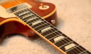 Виды и выбор грифа гитары. Что такое гриф.