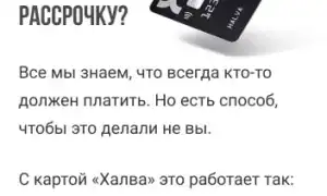 Как выбрать терку: советы и рекомендации. Терка с контейнером.