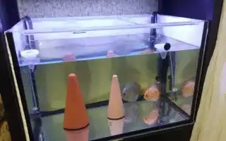 Оформление аквариума своими руками: советы от дизайнеров-аквариумистов. Аквариум 150 литров.