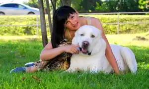 Алабай — среднеазиатская овчарка. Алабай и дети.