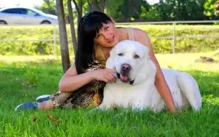 Алабай — среднеазиатская овчарка. Алабай и дети.