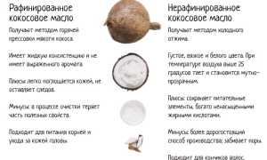 10 полезных свойств кокосового молока для волос, кожи и здоровья, которые стоит знать