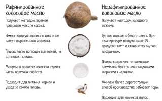 10 полезных свойств кокосового молока для волос, кожи и здоровья, которые стоит знать