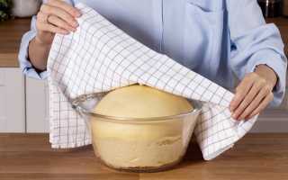 Что лучше добавлять в дрожжевое тесто белок или желток? Узнайте мнение экспертов